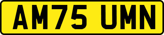 AM75UMN