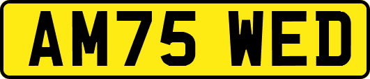 AM75WED