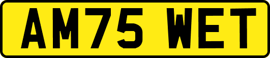 AM75WET