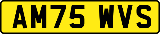 AM75WVS