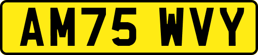 AM75WVY