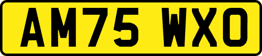 AM75WXO