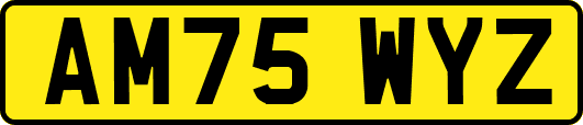 AM75WYZ