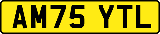 AM75YTL