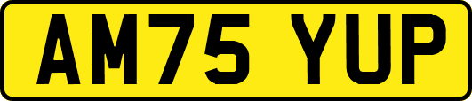 AM75YUP