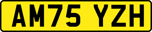 AM75YZH