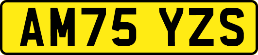 AM75YZS
