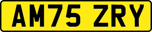 AM75ZRY
