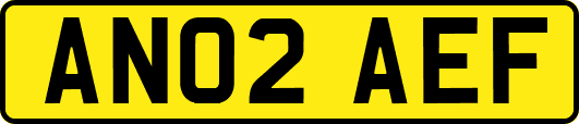 AN02AEF