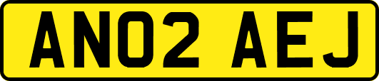 AN02AEJ