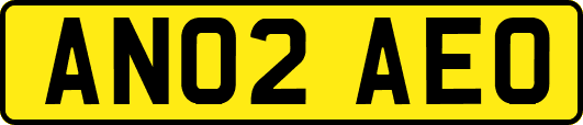 AN02AEO