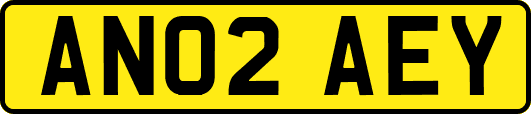 AN02AEY