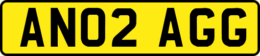 AN02AGG