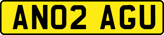 AN02AGU