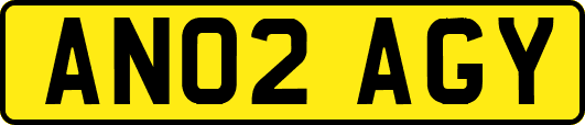 AN02AGY