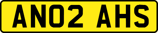 AN02AHS