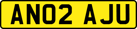 AN02AJU