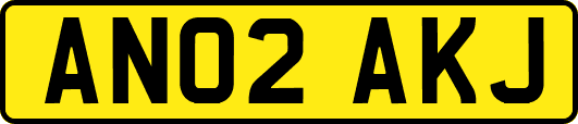 AN02AKJ