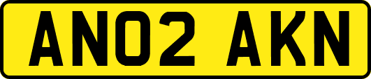 AN02AKN