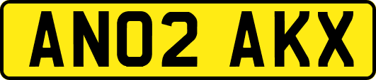 AN02AKX