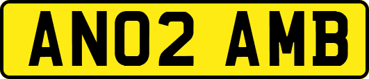 AN02AMB