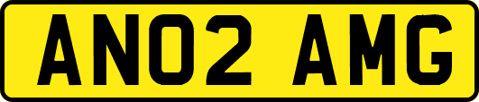AN02AMG