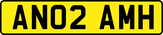 AN02AMH