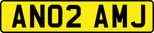 AN02AMJ
