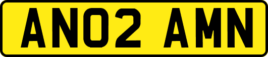 AN02AMN