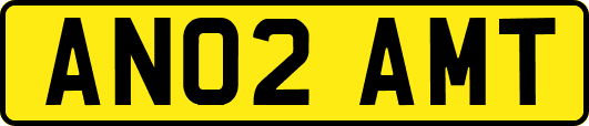 AN02AMT