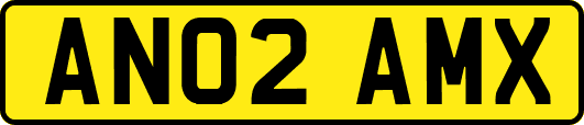 AN02AMX