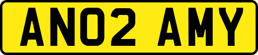 AN02AMY