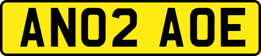 AN02AOE