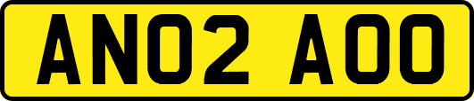 AN02AOO