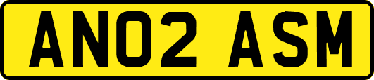 AN02ASM