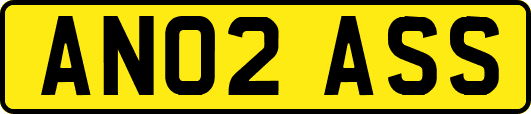 AN02ASS