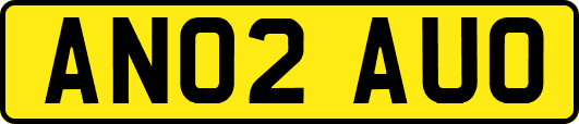 AN02AUO
