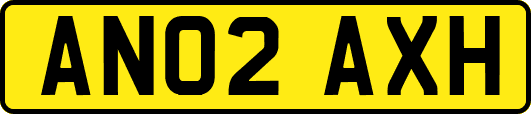 AN02AXH