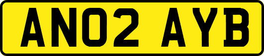 AN02AYB