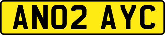 AN02AYC
