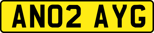 AN02AYG