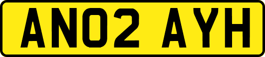AN02AYH