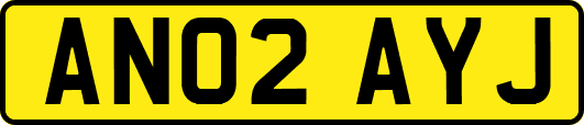 AN02AYJ