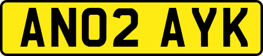 AN02AYK