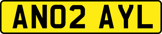 AN02AYL