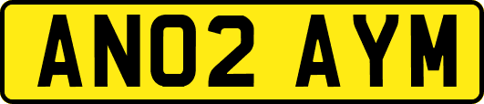 AN02AYM