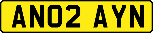 AN02AYN