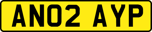 AN02AYP