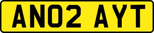 AN02AYT