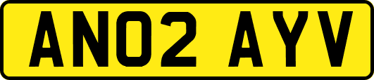 AN02AYV